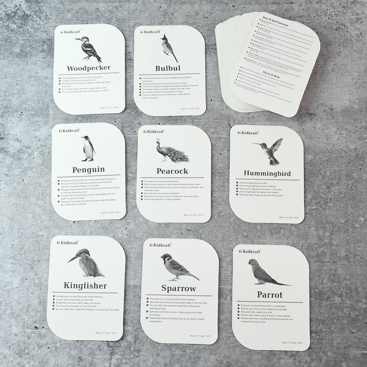 Montessori-aligned bird flashcards promoting sensory and cognitive learning for toddlers